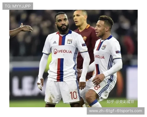 法甲数据分析工具推荐与使用指南